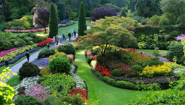 Excursion à Victoria - Photo 3