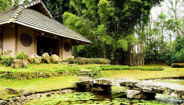Excursión al Volcán Irazú, Valle de Orosi y Jardines Lankester - Foto 4