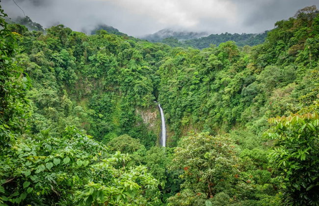 Tirolina en el volcán Arenal - Foto 1