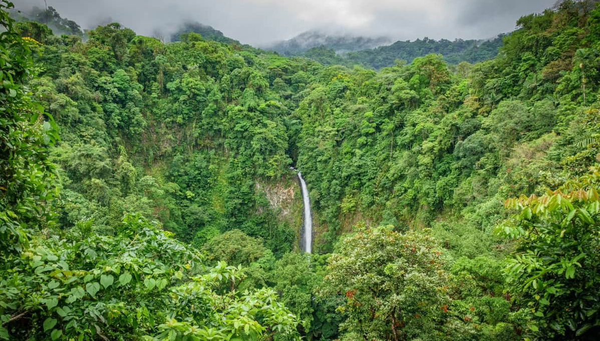 Tirolina en el volcán Arenal - Foto 1