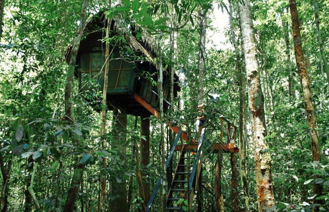 Circuit d'aventure dans la réserve naturelle de Tanimboca - Photo 4