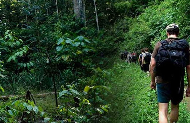 Tour di avventura nella Riserva Naturale Tanimboca - Foto 3