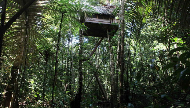 Tanimboca Natural Reserve Adventure Tour - Foto 2