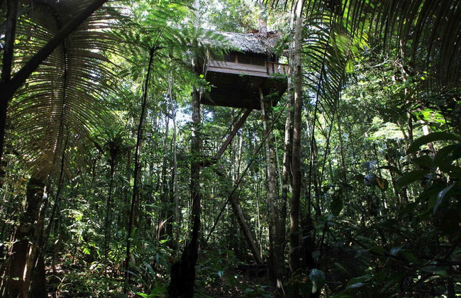 Tour di avventura nella Riserva Naturale Tanimboca - Foto 2