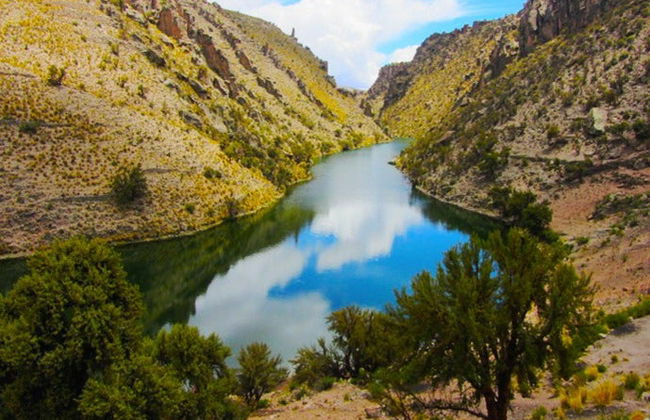 Excursión a la Hacienda Cayara y Villacolo - Foto 2