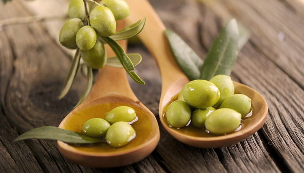 Cata de vino, queso y aceite en la Bodega Matarromera - Photo 5