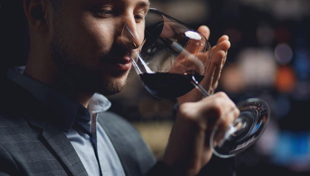 Cata de vino, queso y aceite en la Bodega Matarromera - Photo 4