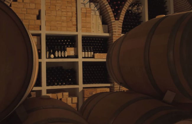 Cata de vino, queso y aceite en la Bodega Matarromera - Foto 3