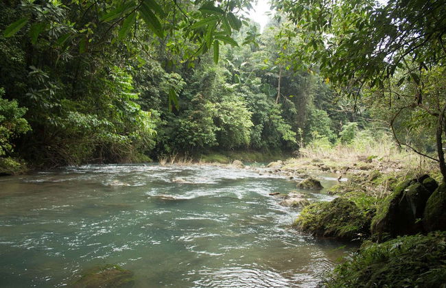 Tubing in the Agujitas River - Foto 6
