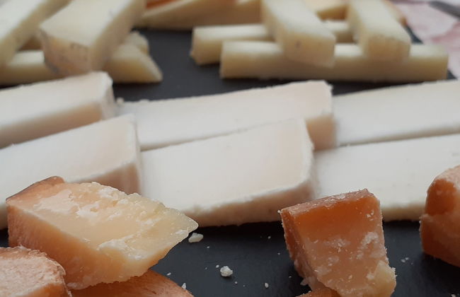 Degustação de queijos em Medina del Campo - Foto 7