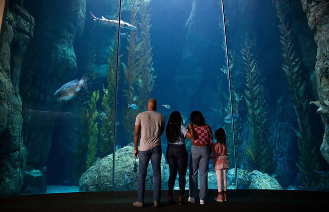 Entrada a Aquarium of The Pacific - Foto 7