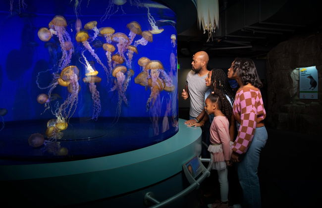 Entrada a Aquarium of The Pacific - Foto 3
