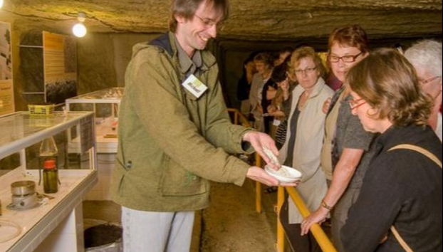 Mushroom Museum Ticket - Photo 2