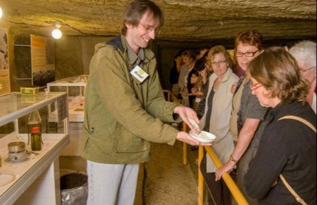 Mushroom Museum Ticket - Photo 2