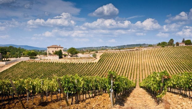 Escursione a Pisa, San Gimignano e Siena - Foto 2