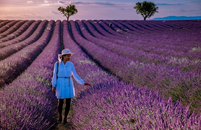 Castellane, Moustiers-Sainte-Marie e lago Sainte-Croix - Foto 6