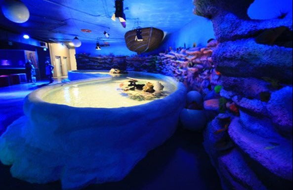 Entrada al Acuario Inbursa + Transporte - Foto 5