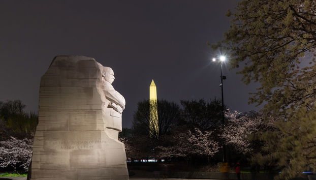 Open Top Bus Night Tour - Photo 4