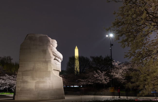 Open Top Bus Night Tour - Photo 4