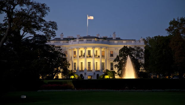 Open Top Bus Night Tour - Photo 3