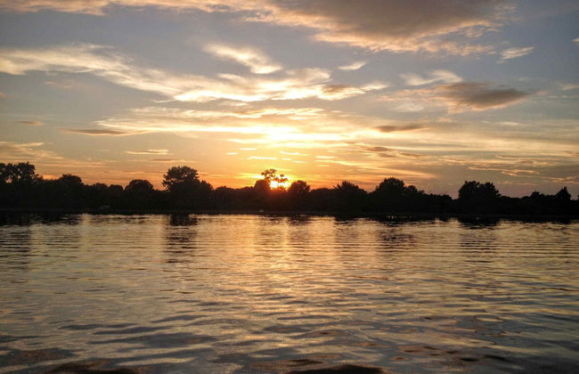 Open Top Bus Night Tour - Photo 6