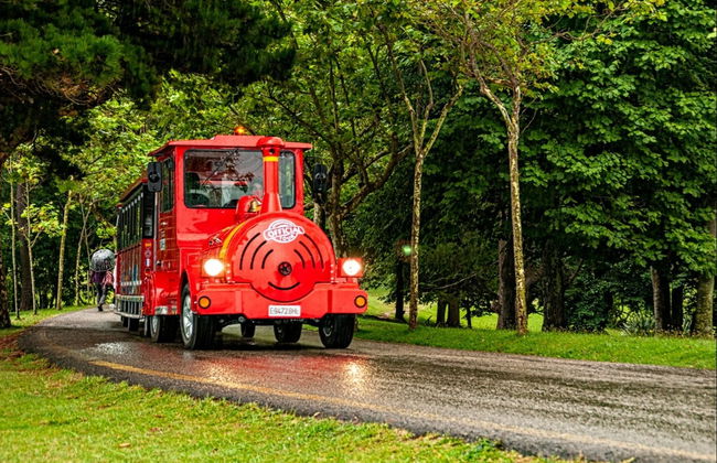 Bus touristique de Santander - Photo 3