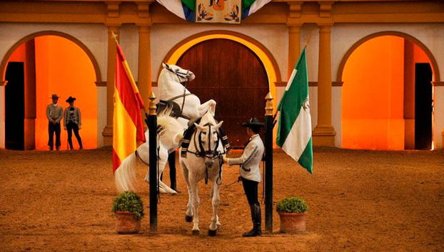 Jerez de la Frontera Day Trip - Photo 4