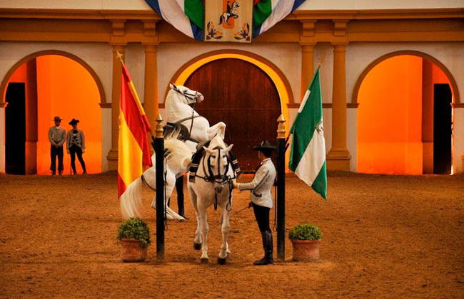 Excursion à Xérès - Photo 4