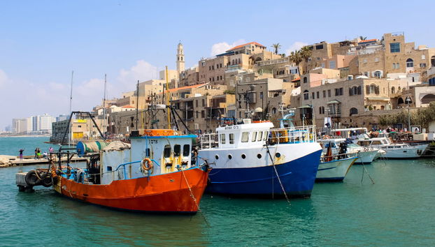 Visita guidata di Tel Aviv - Foto 4