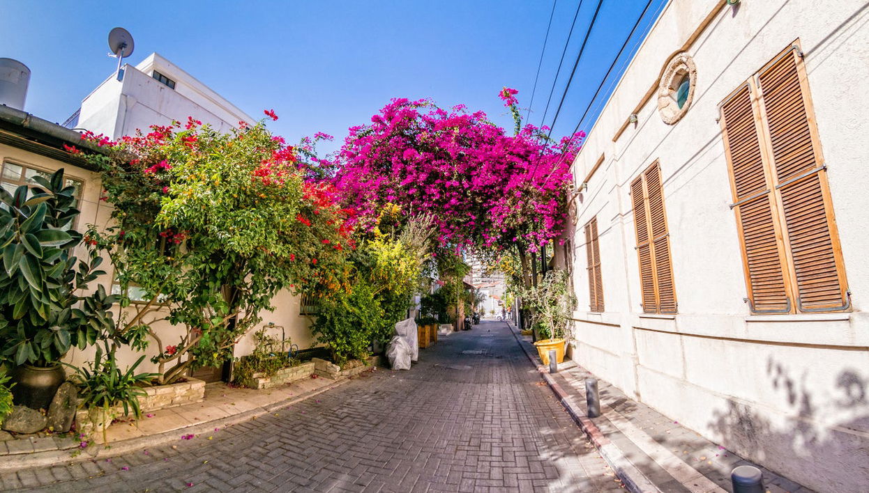 Visita guidata di Tel Aviv - Foto 1