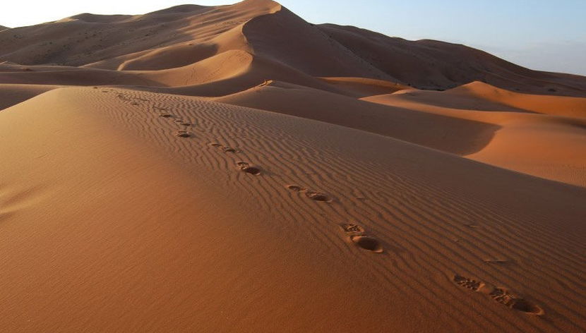 Overnight Desert Camel Trek - Foto 2