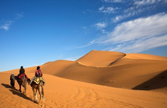 Paseo en camello y noche en el desierto - Foto 1