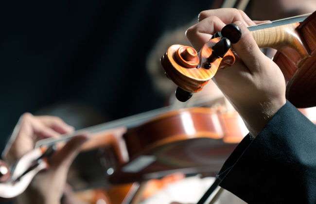 Concerto di musica classica a Saint-Germain-des-Prés - Foto 2