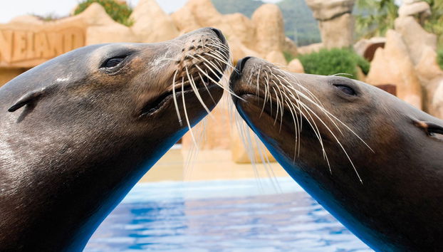 Billet pour Marineland Catalunya - Photo 4