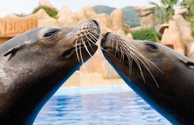 Billet pour Marineland Catalunya - Photo 4