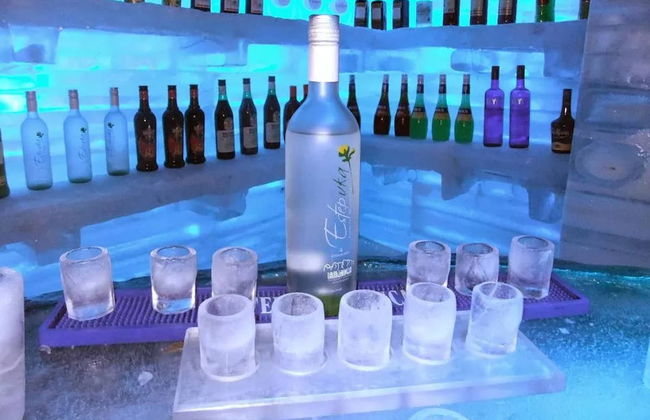 Entrada al Icebar Iguazú - Foto 2