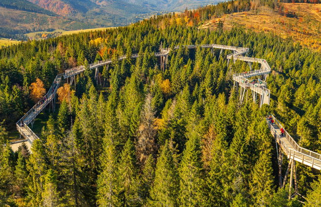 Excursión a Treetop Walk Bachledka + Baños termales de Chochołów - Foto 3