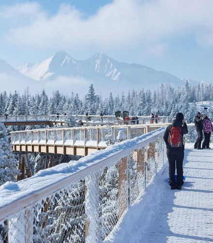 Foto de Excursión a Treetop Walk Bachledka + Baños termales de Chochołów