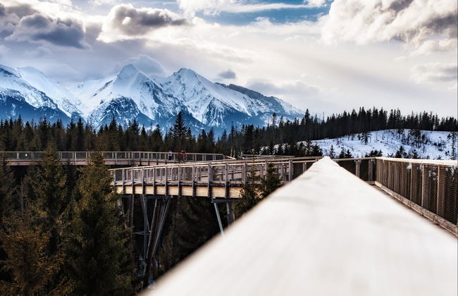 Excursión a Treetop Walk Bachledka + Baños termales de Chochołów - Foto 2