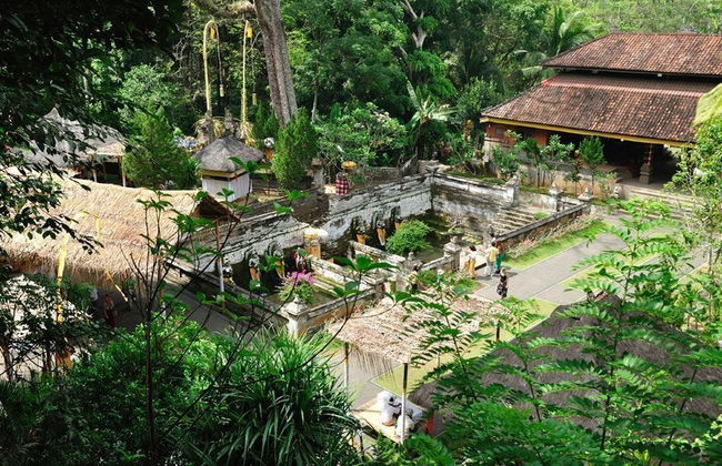 Visite privée culturelle de Batubulan à Kintamani - Photo 2
