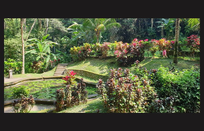 Visite privée culturelle de Batubulan à Kintamani - Photo 7