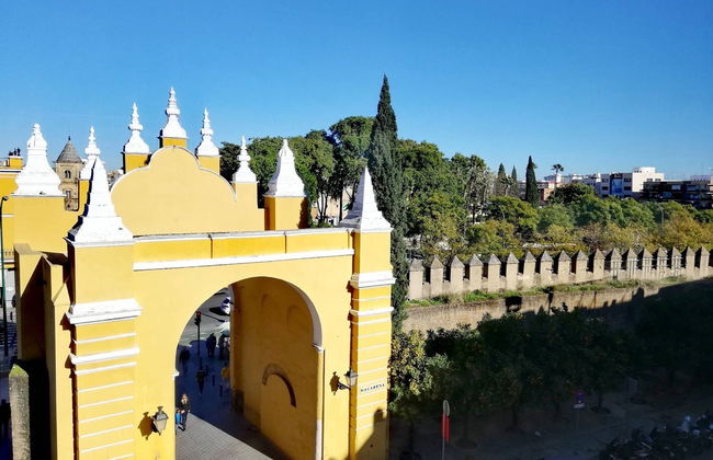 Visita guiada por la Macarena y su museo - Foto 2