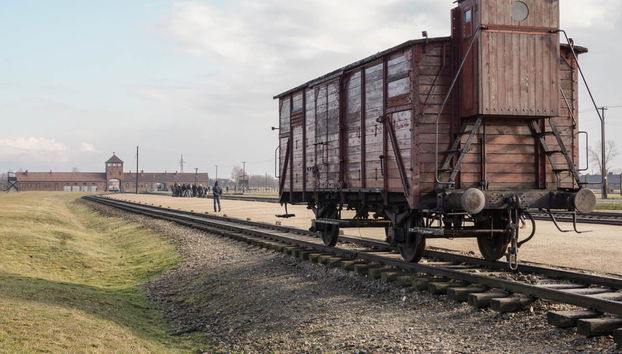 Excursión a Auschwitz-Birkenau desde Breslavia - Foto 3