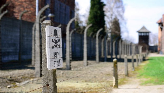 Krakow Combo: Auschwitz and Salt Mine Tour - Foto 3