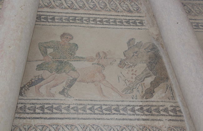 Excursión a la villa romana de Salar - Foto 5
