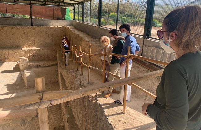 Excursión a la villa romana de Salar - Foto 3