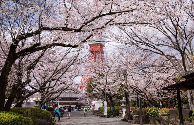 Entrada al observatorio de la Torre de Tokio - Foto 5