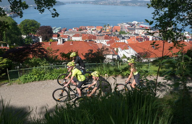 Tour en bicicleta eléctrica por Bergen - Foto 4