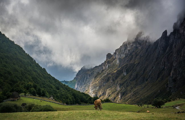Tour por el Parque Natural de Somiedo - Foto 7
