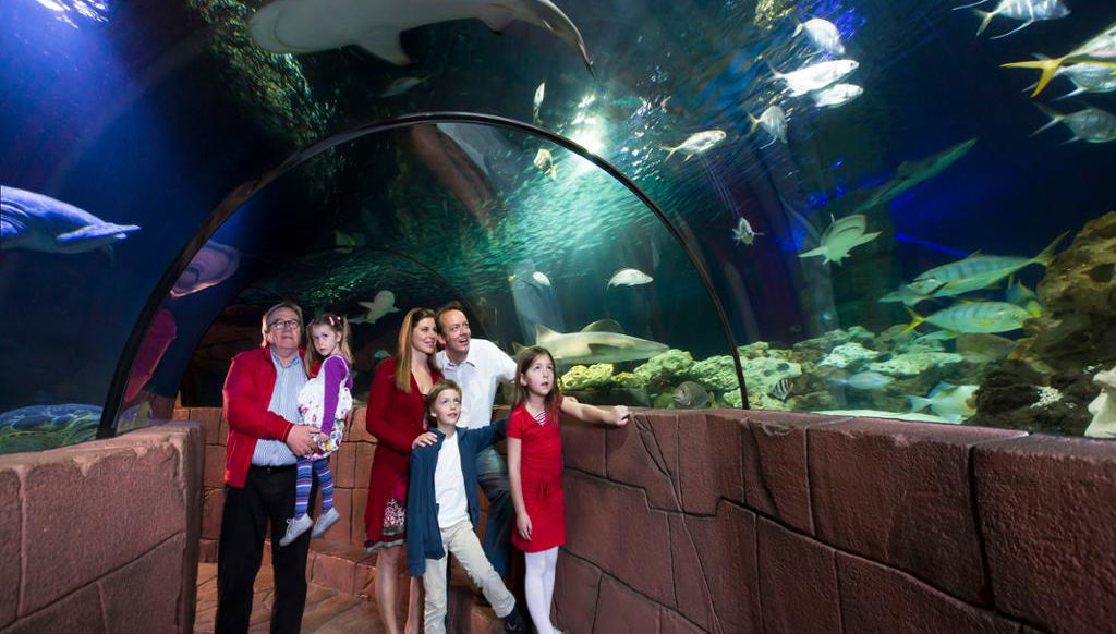 Sea Life Hannover - Billet - Photo 1